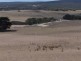 3 Port Davey Road, Flinders Island TAS 7255