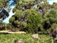14 Gunter Street, Lady Barron, Flinders Island TAS 7255