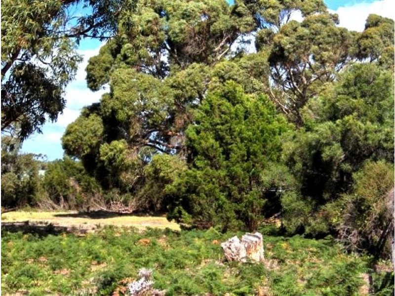 14 Gunter Street, Lady Barron, Flinders Island TAS 7255