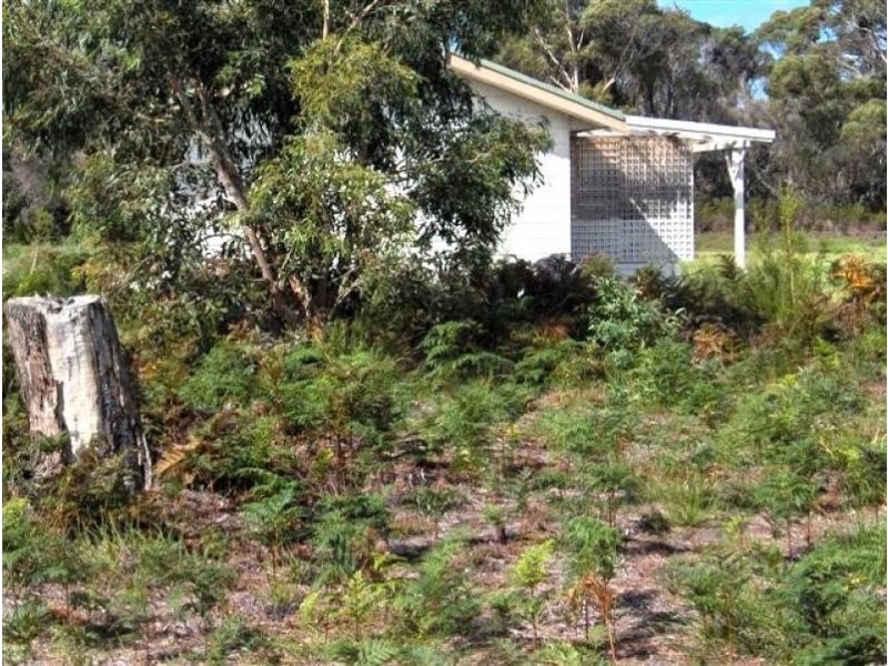 14 Gunter Street, Lady Barron, Flinders Island TAS 7255