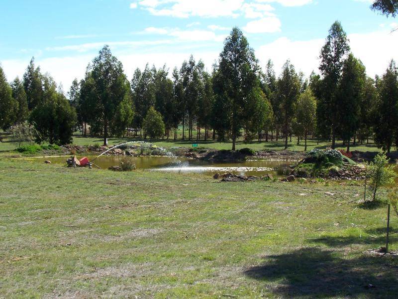 2 BURGESS STREET, Swansea TAS 7190