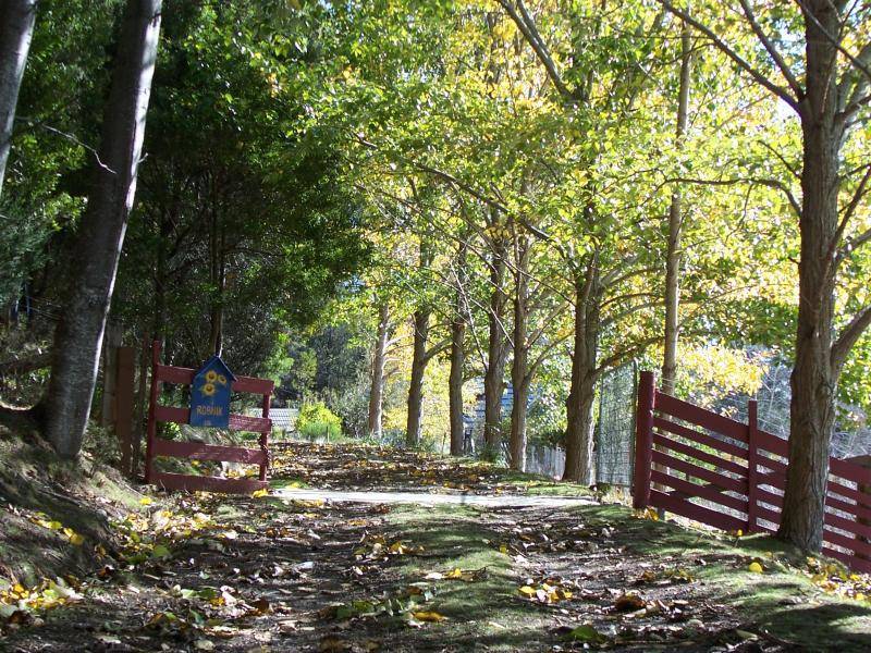 154 CAMERONS ROAD, UNDERWOOD, Launceston TAS 7250