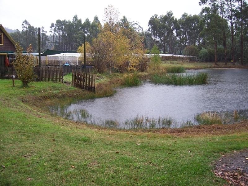 LONG PLAINS ROAD, Bridgenorth TAS 7277