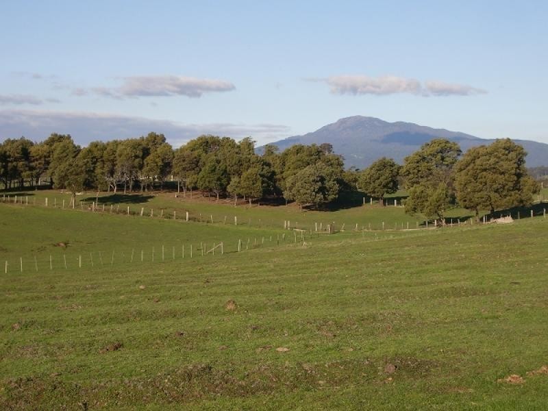 1866 PIPERS RIVER ROAD, Lower Turners Marsh TAS 7267