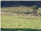 1866 PIPERS RIVER ROAD, Lower Turners Marsh TAS 7267