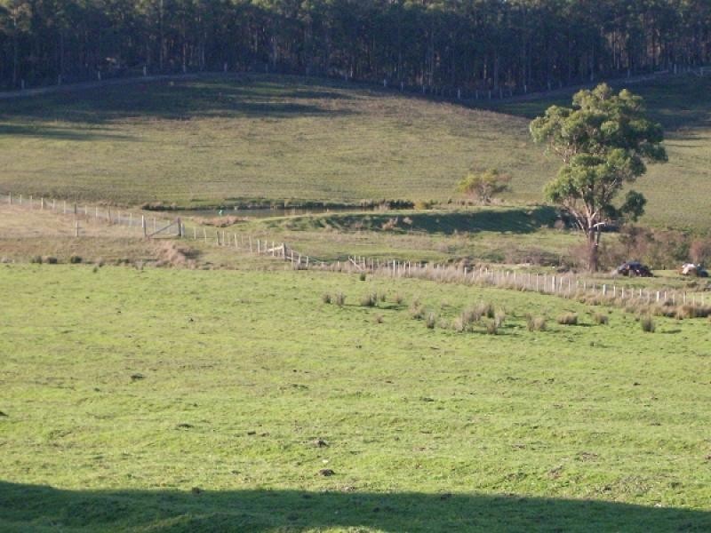 1866 PIPERS RIVER ROAD, Lower Turners Marsh TAS 7267