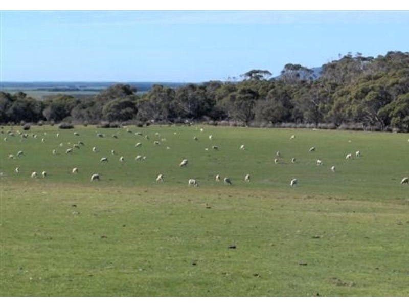 60 Kuhns Road, Memana, Flinders Island TAS 7255