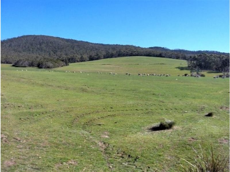 60 Kuhns Road, Memana, Flinders Island TAS 7255