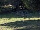 1 FOWLERS ROAD, EMITA, Flinders Island TAS 7255