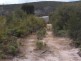 4 Blue Rocks, Palana Road, Flinders Island TAS 7255