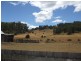 42 Pioneer Drive, Mole Creek TAS 7304