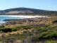 Lot 2/691 West End Road, Flinders Island TAS 7255