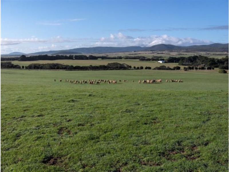 5 Fairhaven Road, Flinders Island TAS 7255