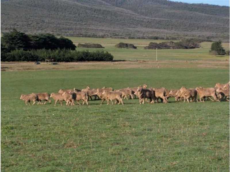 5 Fairhaven Road, Flinders Island TAS 7255