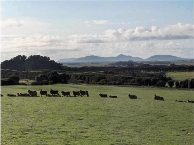 5 Fairhaven Road, Flinders Island TAS 7255