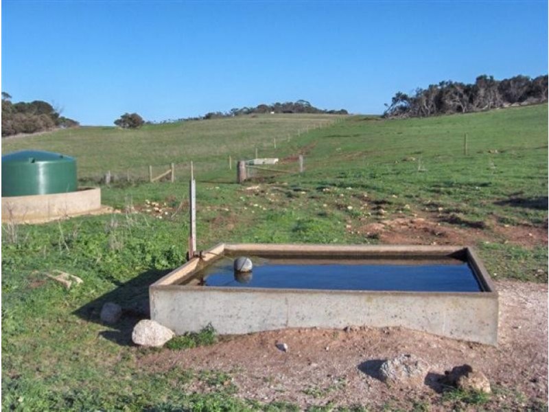 5 Fairhaven Road, Flinders Island TAS 7255