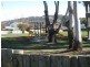 Prospect TAS 7250