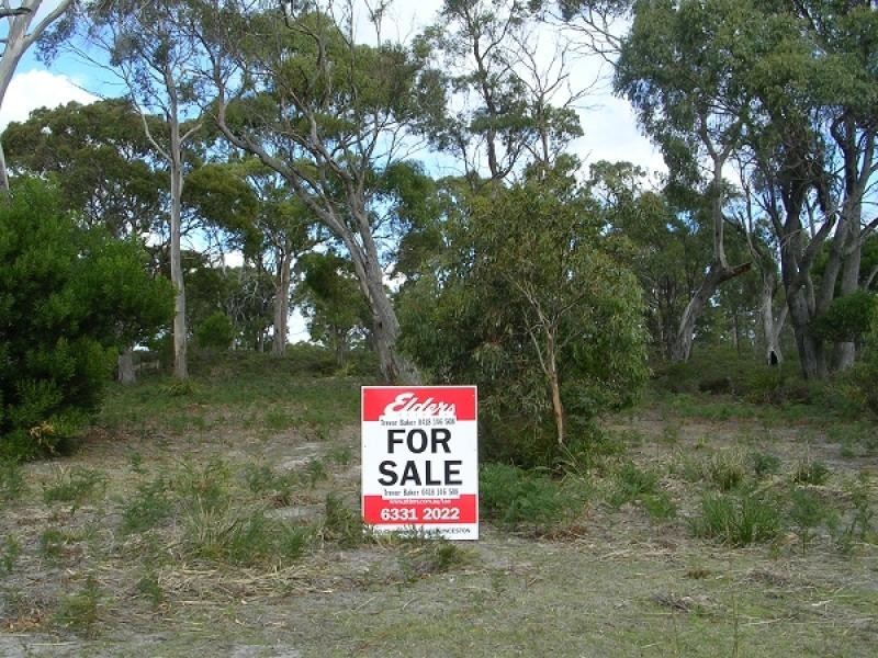 42 TAMAR CRESCENT, Greens Beach TAS 7270