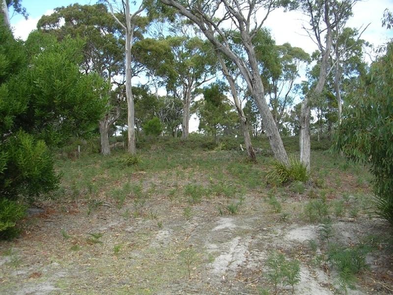 42 TAMAR CRESCENT, Greens Beach TAS 7270