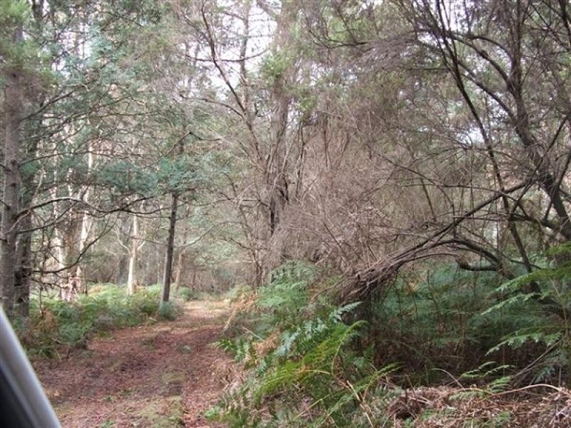 494 Bogan Road, Golden Valley TAS 7304