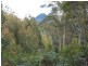 494 Bogan Road, Golden Valley TAS 7304
