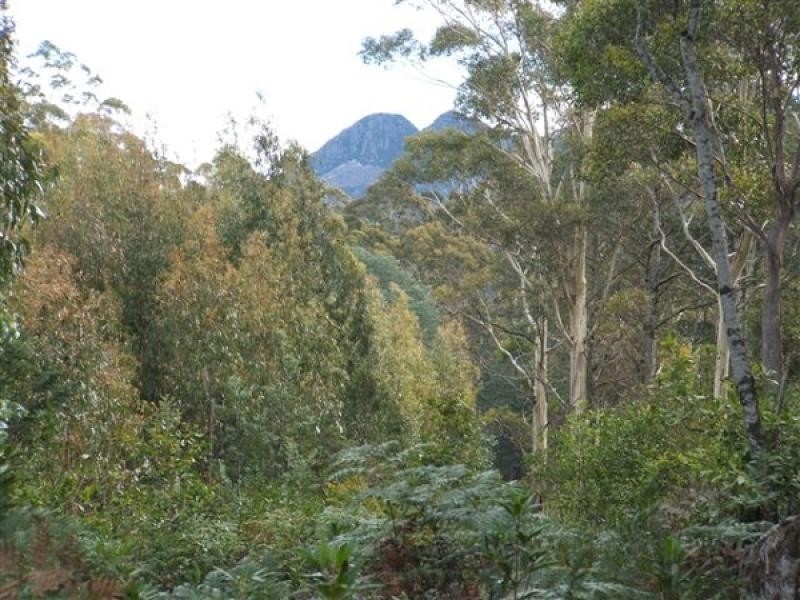 494 Bogan Road, Golden Valley TAS 7304