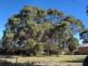 15 Holloway Street, Lady Barron, Flinders Island TAS 7255