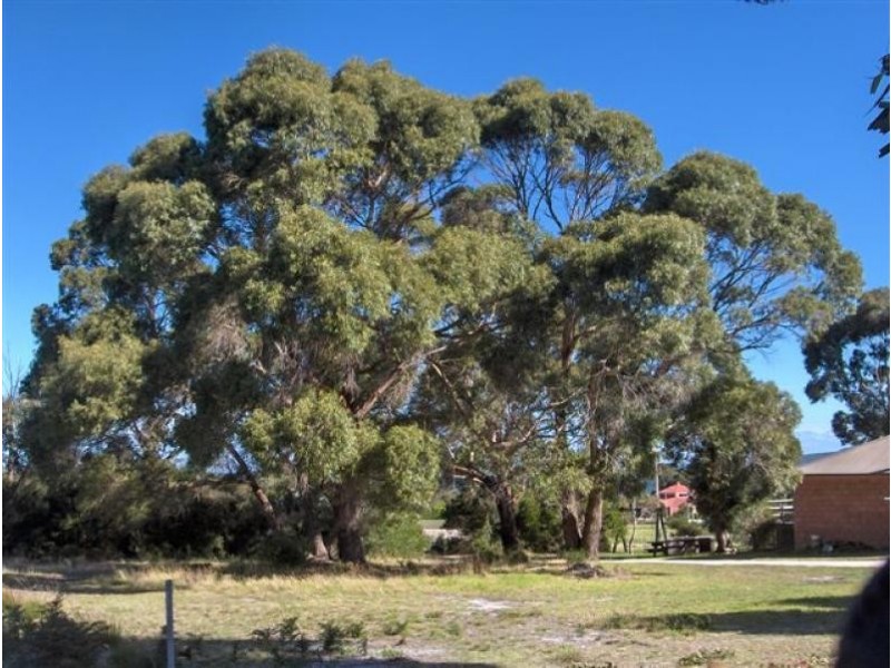 15 Holloway Street, Lady Barron, Flinders Island TAS 7255