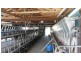 1 Ellendale Road, Ouse TAS 7140