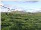 1 Ellendale Road, Ouse TAS 7140