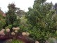 23 Bluff Road, Flinders Island TAS 7255