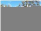 319 Motor Road, Deviot TAS 7275