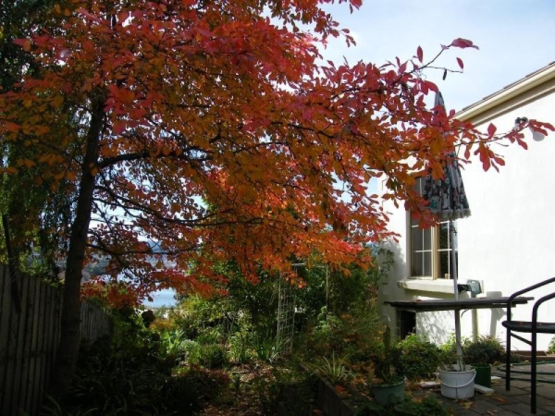 Unit 1, 197 West Tamar Rd, Riverside TAS 7250