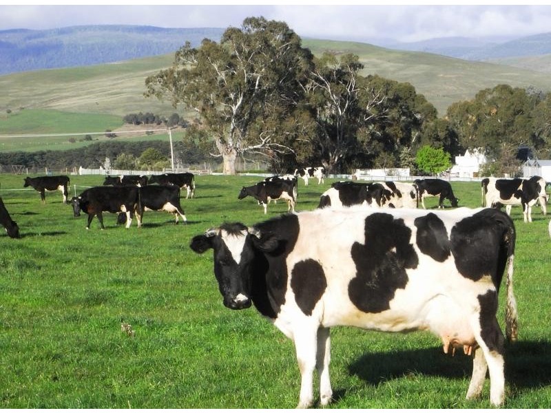 6820 Lyell Highway, Ouse TAS 7140