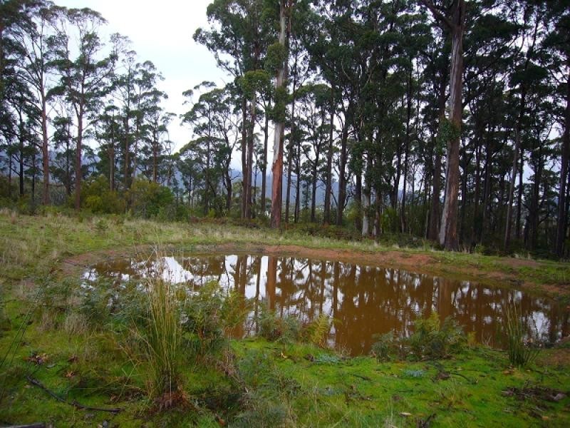 56 Kempeners Road, Lilydale TAS 7268