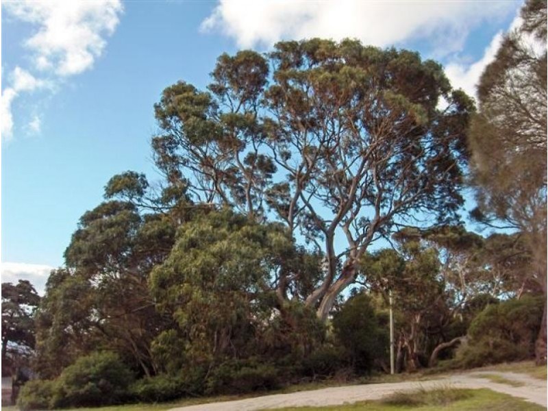 2 Fowlers Road, Emita Village, Flinders Island TAS 7255
