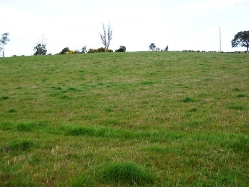 2290 A Pipers River Road, Pipers River TAS 7252