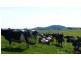 South Riana TAS 7316