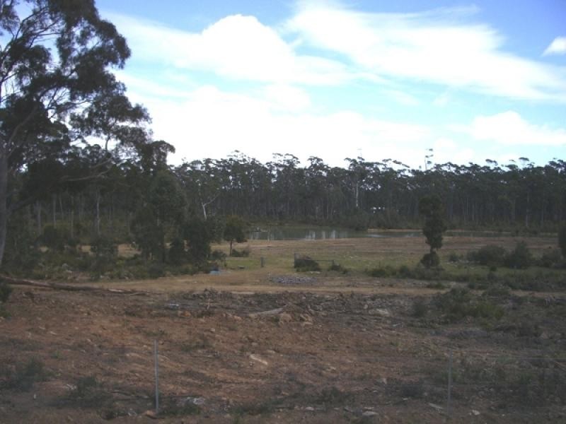 236 Prossers Road, Nunamara TAS 7259