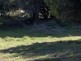 1 Fowlers Road, Emita, Flinders Island TAS 7255