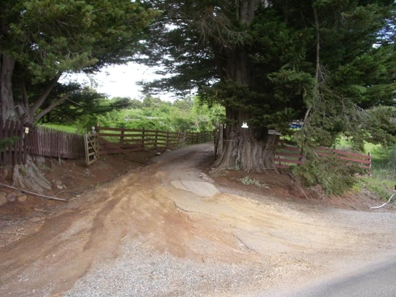 335 Rosevears Drive, Lanena TAS 7275
