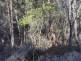 2 Pine Lane, Pine Scrub, Flinders Island TAS 7255