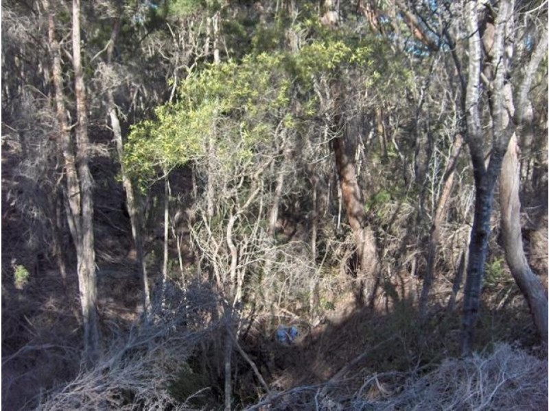 2 Pine Lane, Pine Scrub, Flinders Island TAS 7255