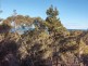 2 Pine Lane, Pine Scrub, Flinders Island TAS 7255