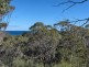 2 Pine Lane, Pine Scrub, Flinders Island TAS 7255