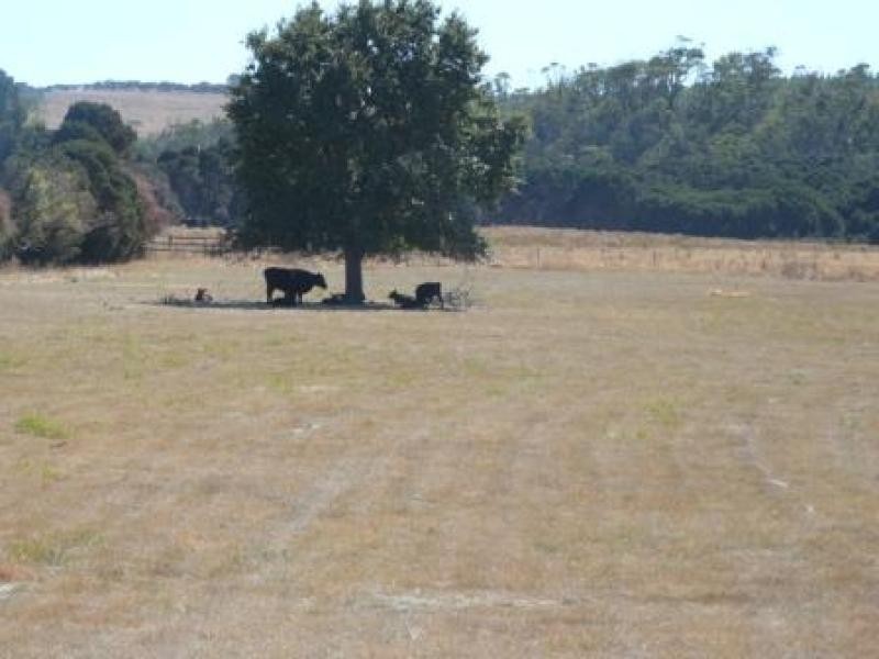 1 Red Road, Weymouth TAS 7252