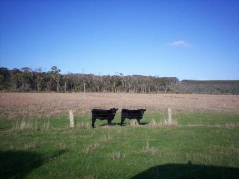 1 Red Road, Weymouth TAS 7252