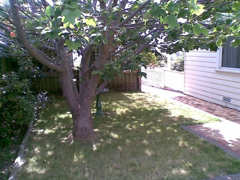 16 Talbot Road, South Launceston TAS 7249