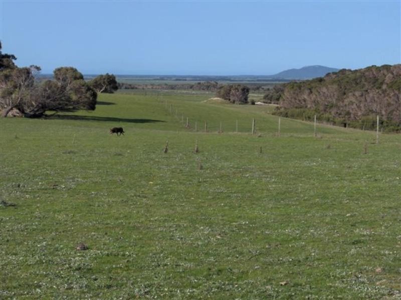 60 Kuhns Road Memana, Flinders Island TAS 7255
