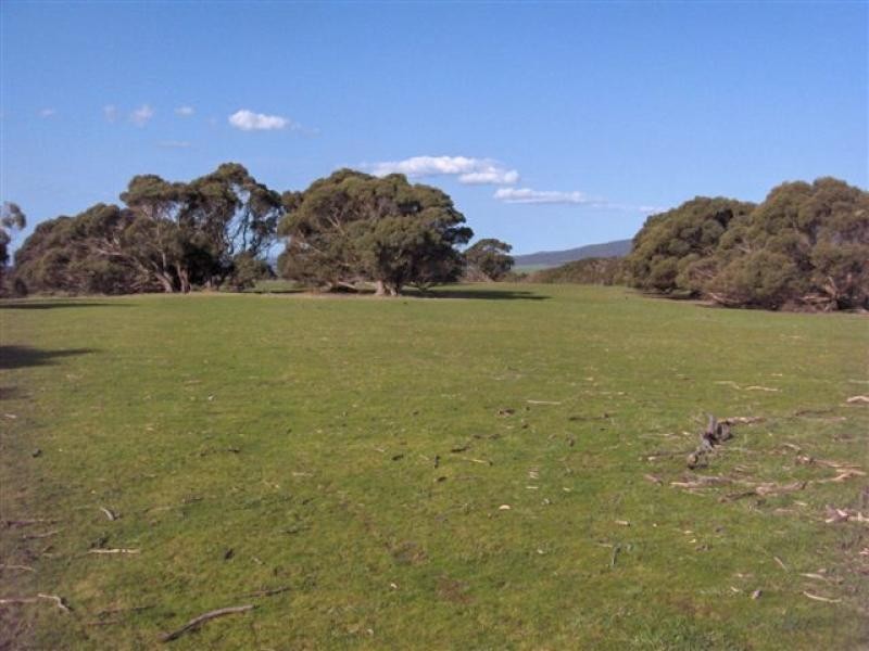 60 Kuhns Road Memana, Flinders Island TAS 7255